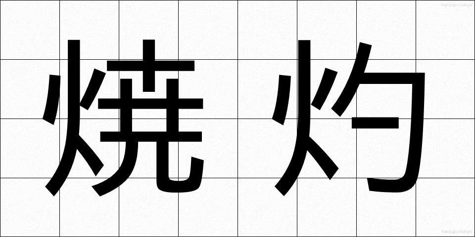 焼灼 (しょうしゃく)
