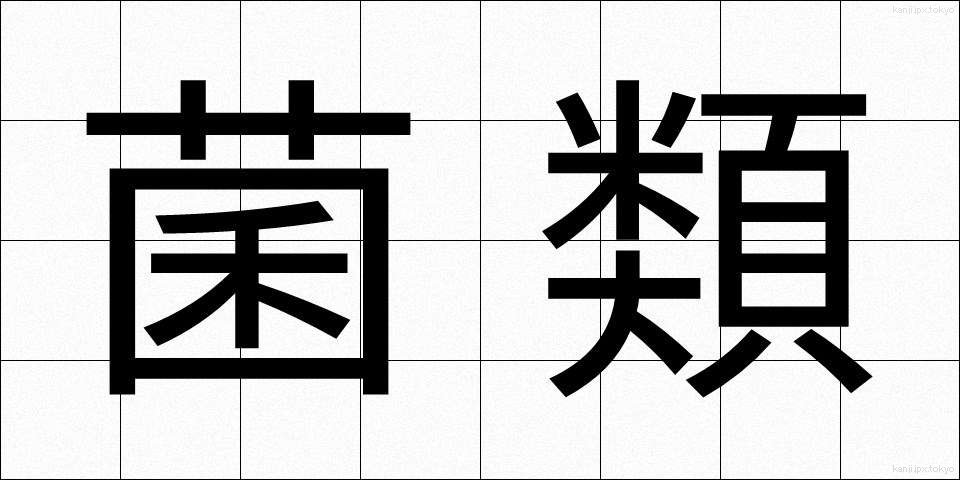 菌類 (きんるい)