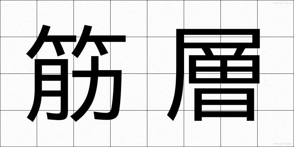 筋層 (きんそう)