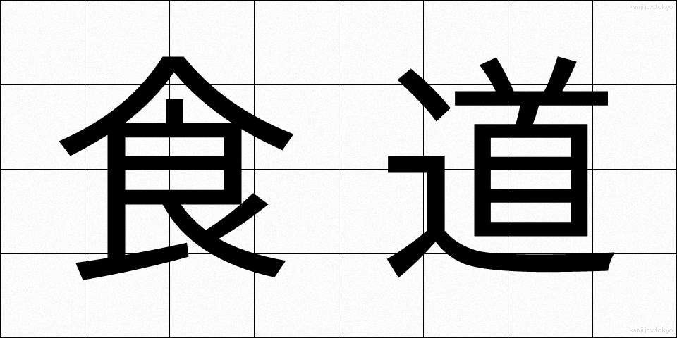 食道 (しょくどう)