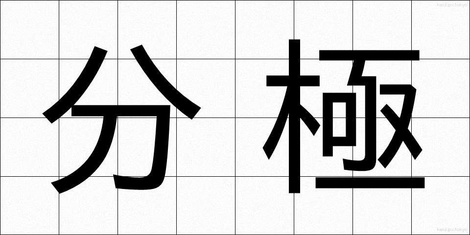 分極 (ぶんきょく)