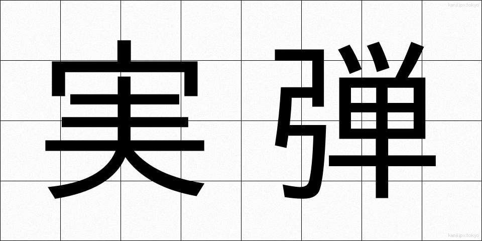 実弾 (じつだん)