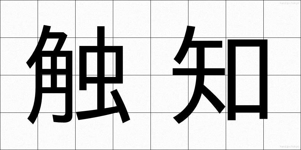 触知 (しょくち)