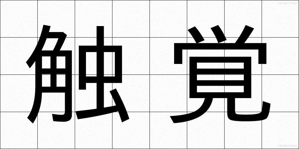 触覚 (しょっかく)