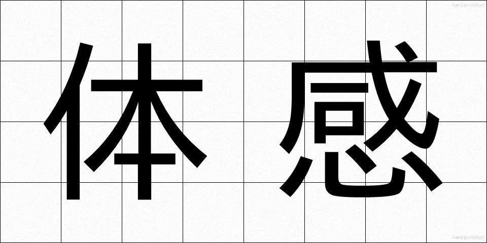 体感 (たいかん)