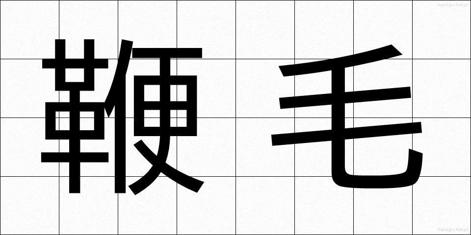 鞭毛 (べんもう)