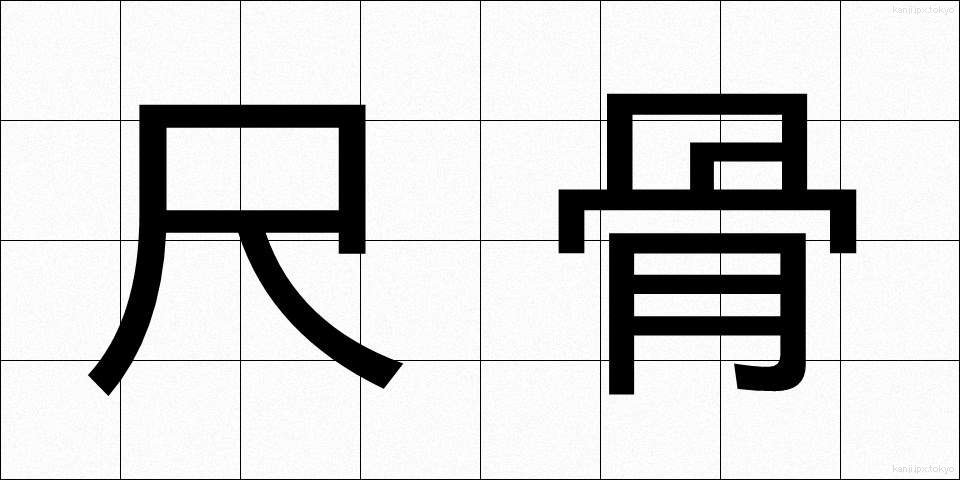 尺骨 (しゃっこつ)