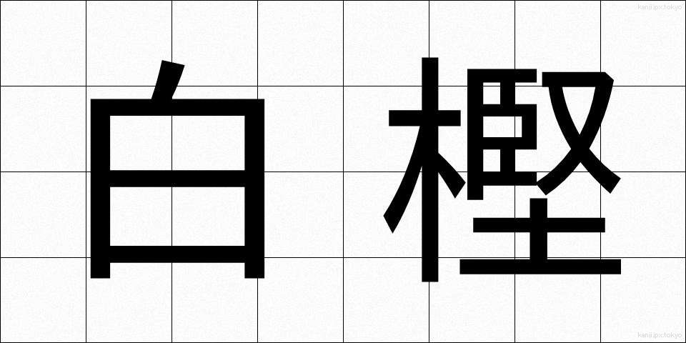 白樫 (しらかし)