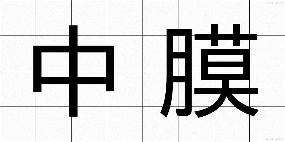 中膜 (ちゅうまく)