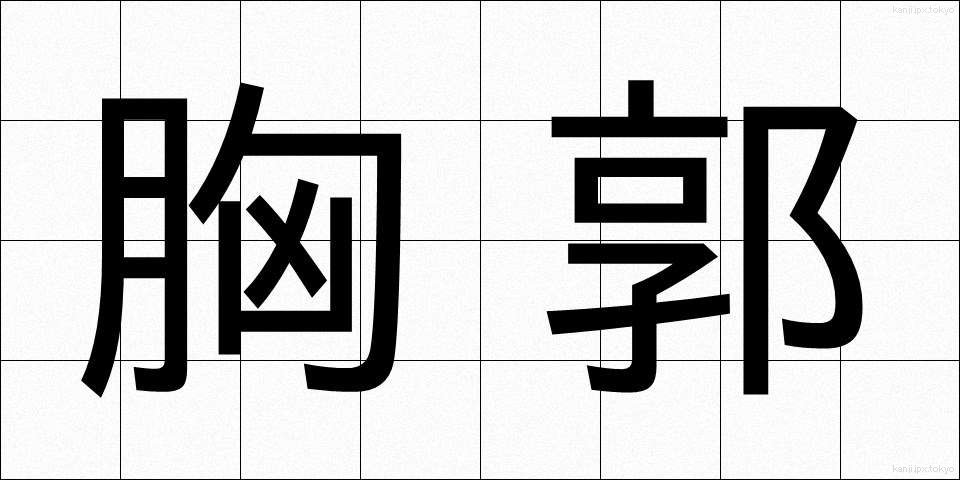 胸郭 (きょうかく)