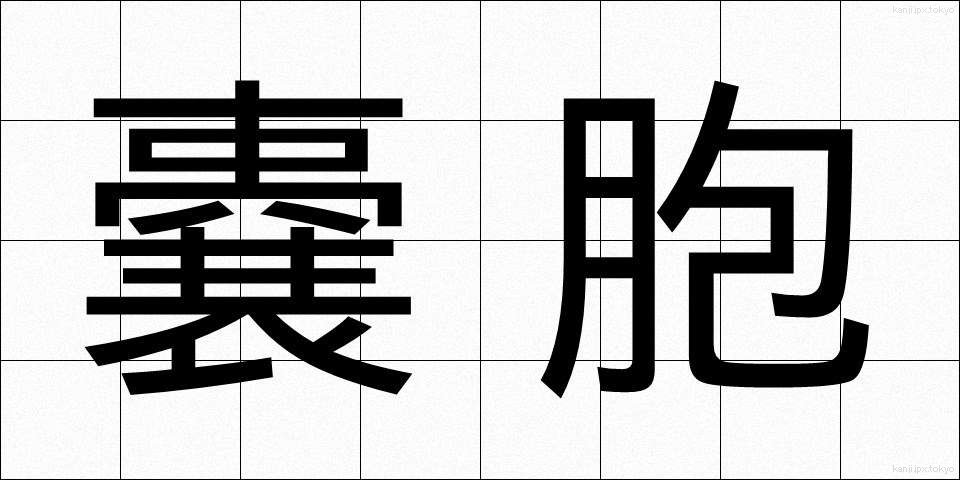 嚢胞 (のうほう)