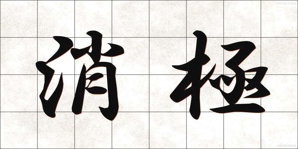 消極 (しょうきょく)