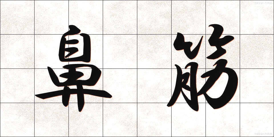 鼻筋 (はなすじ)