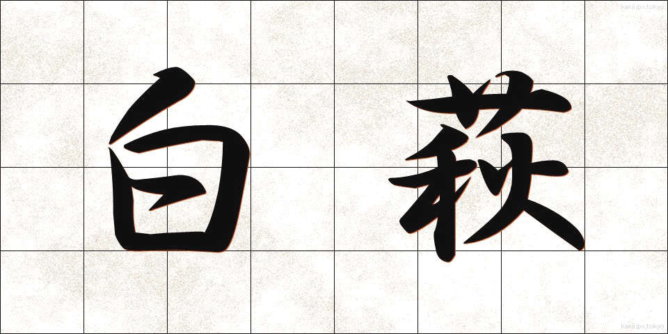 白萩 (しらはぎ)