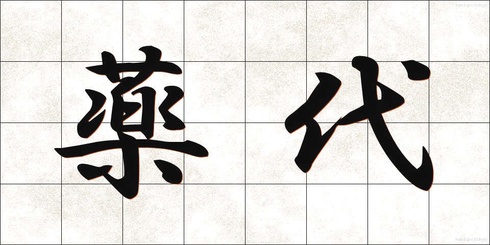 薬代 (やくだい)