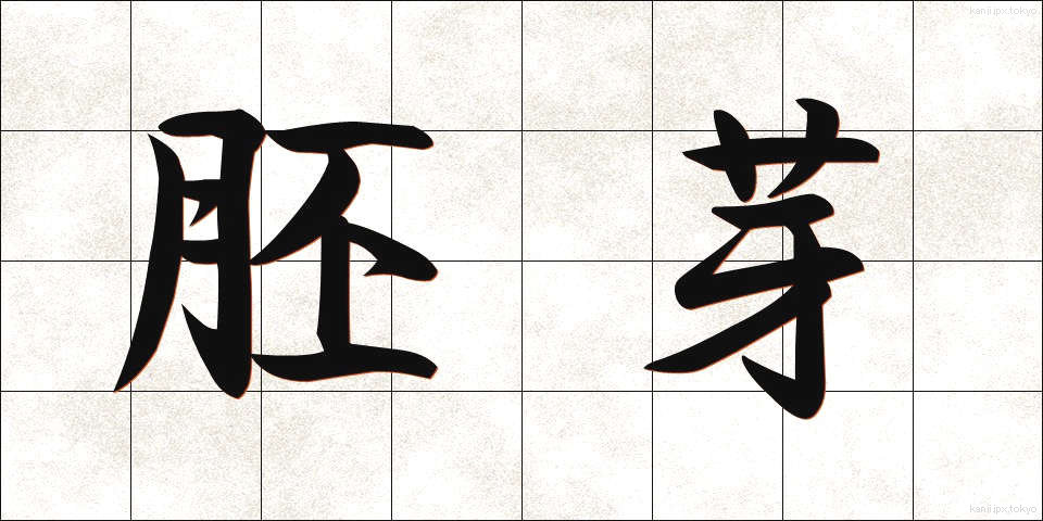 胚芽 (はいが)