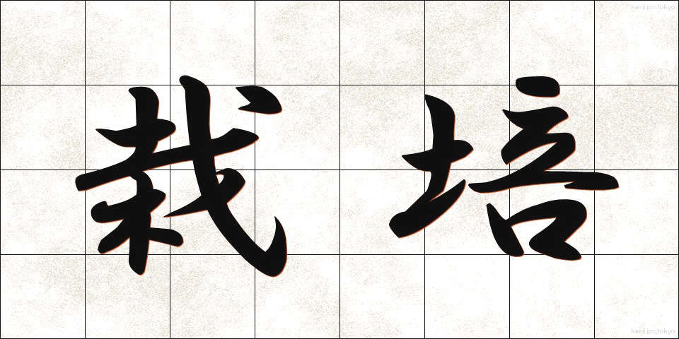 栽培 (さいばい)
