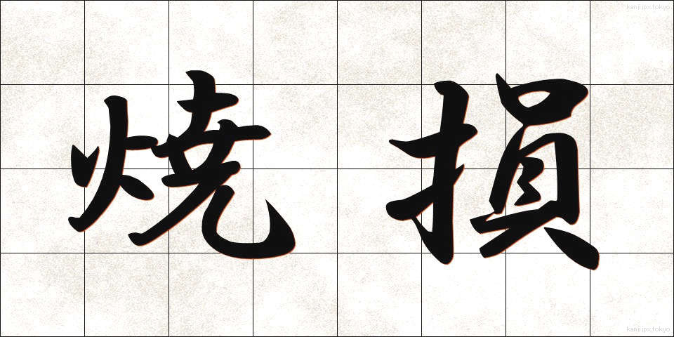 焼損 (しょうそん)