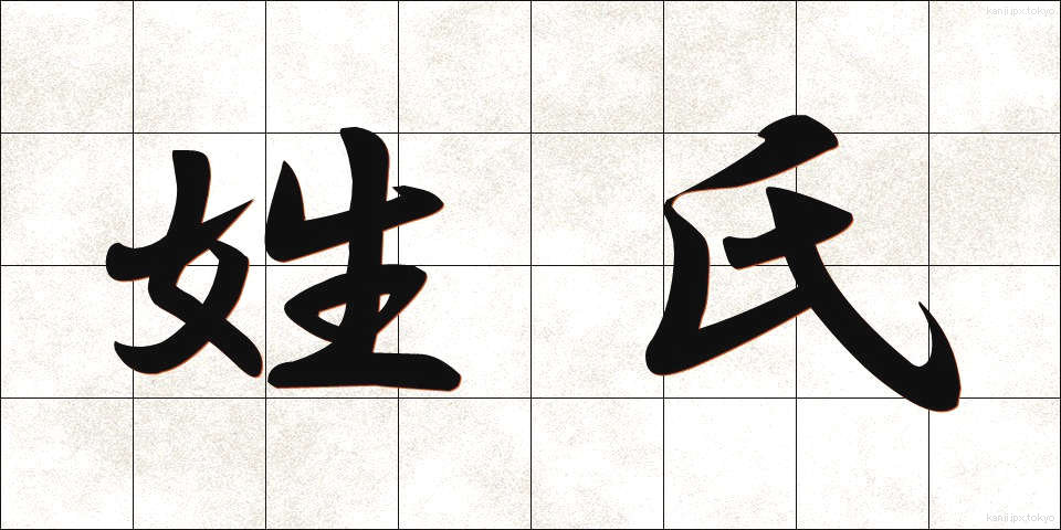 姓氏 (せいし)