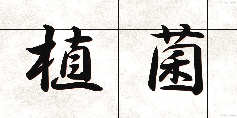 植菌 (しょっきん)