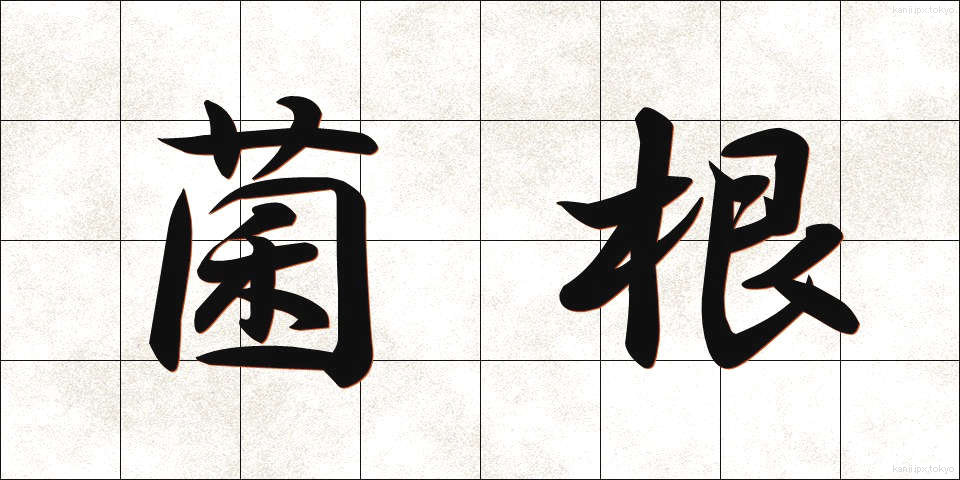 菌根 (きんこん)
