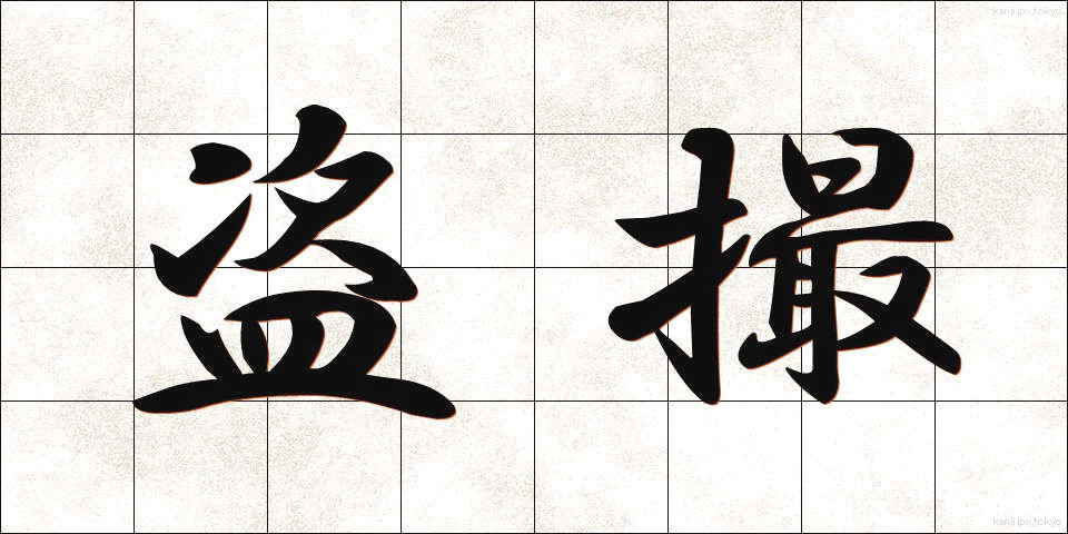 盗撮 (とうさつ)