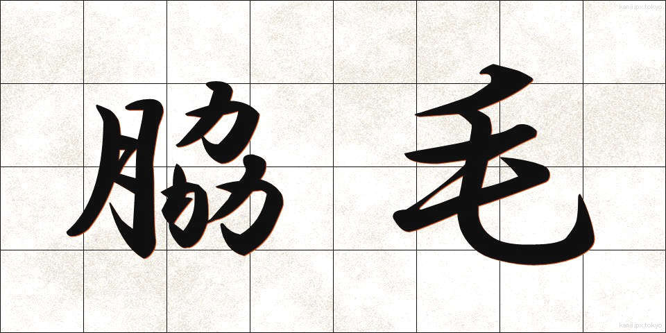 脇毛 (わきげ)