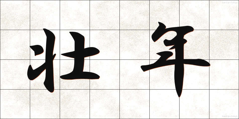 壮年 (そうねん)