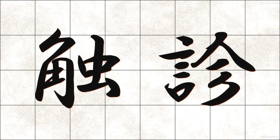 触診 (しょくしん)