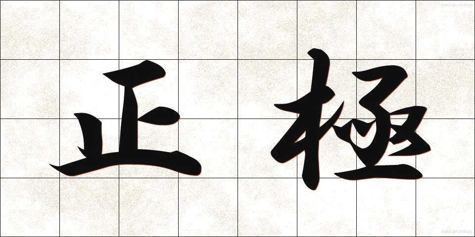 正極 (せいきょく)