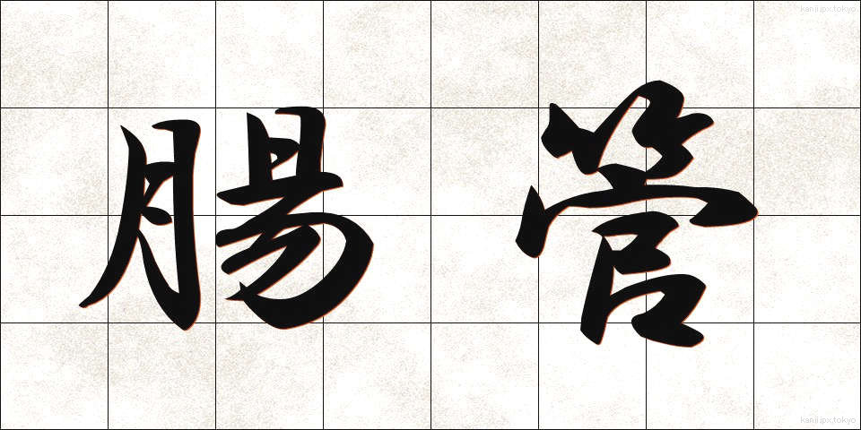 腸管 (ちょうかん)