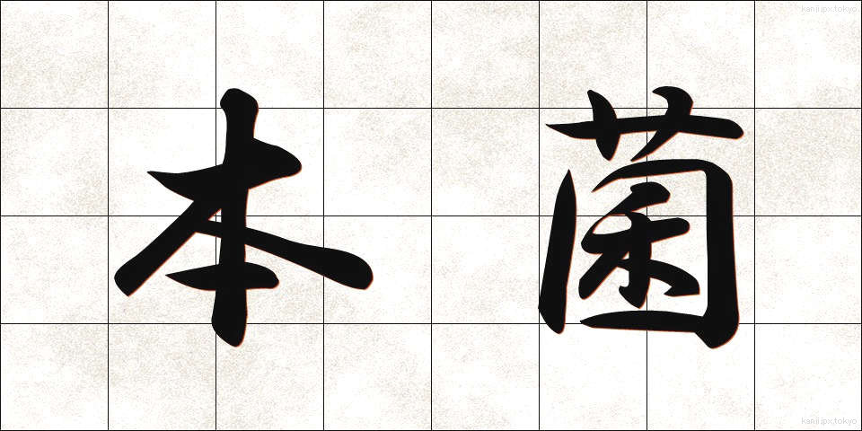 本菌 (ほんきん)
