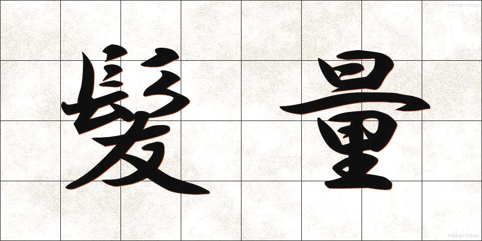 髪量 (かみりょう)
