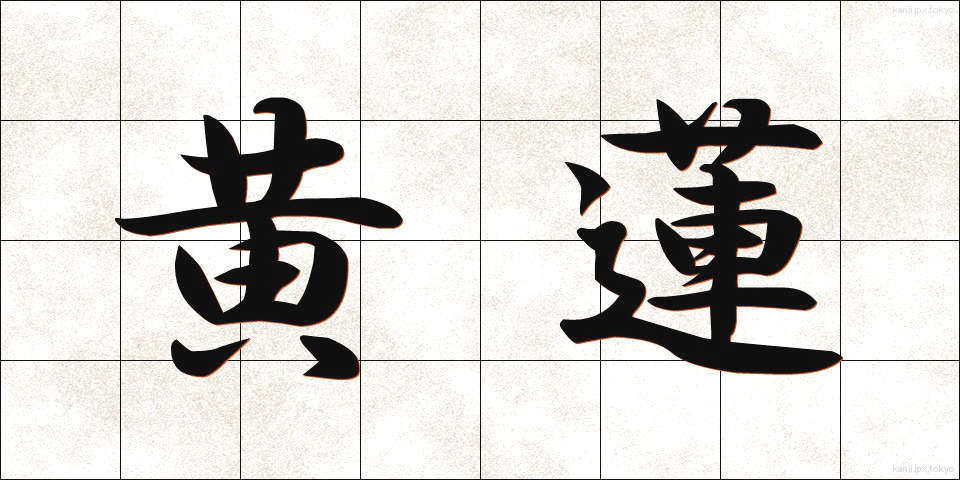 黄蓮 (おうれん)