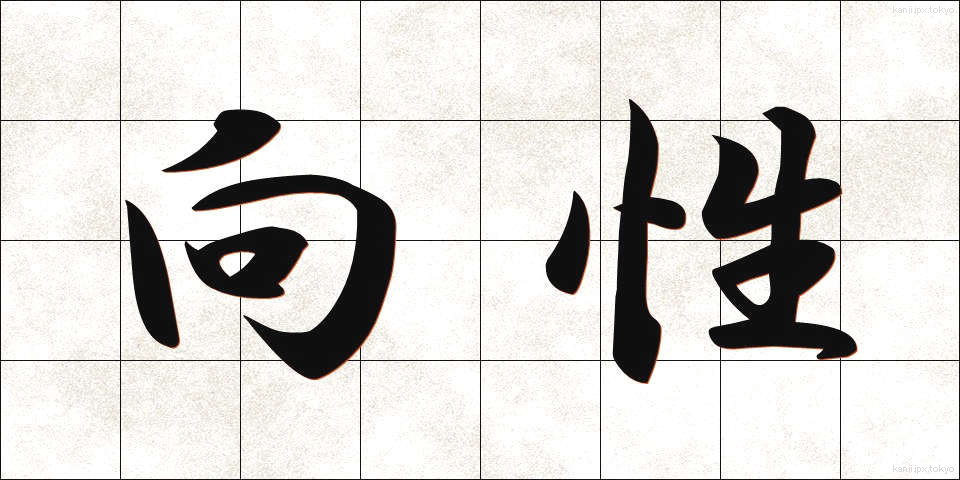 向性 (こうせい)