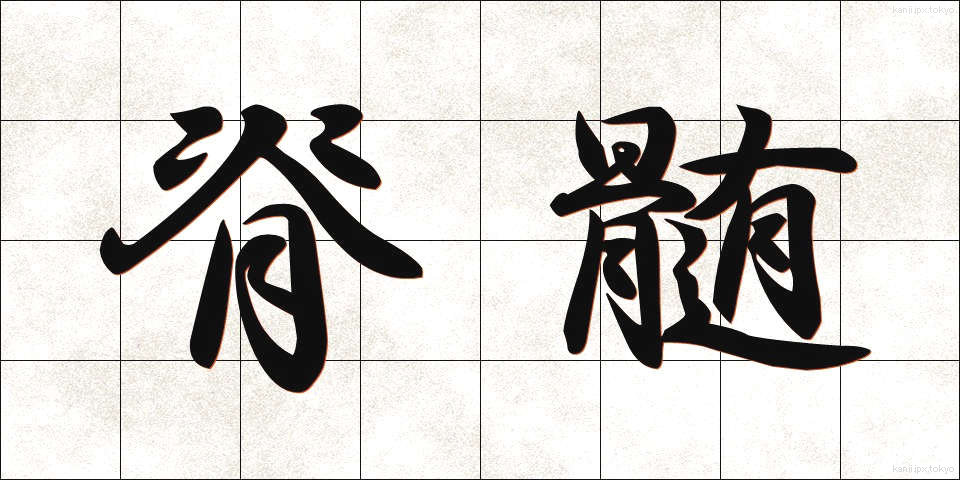 脊髄 (せきずい)