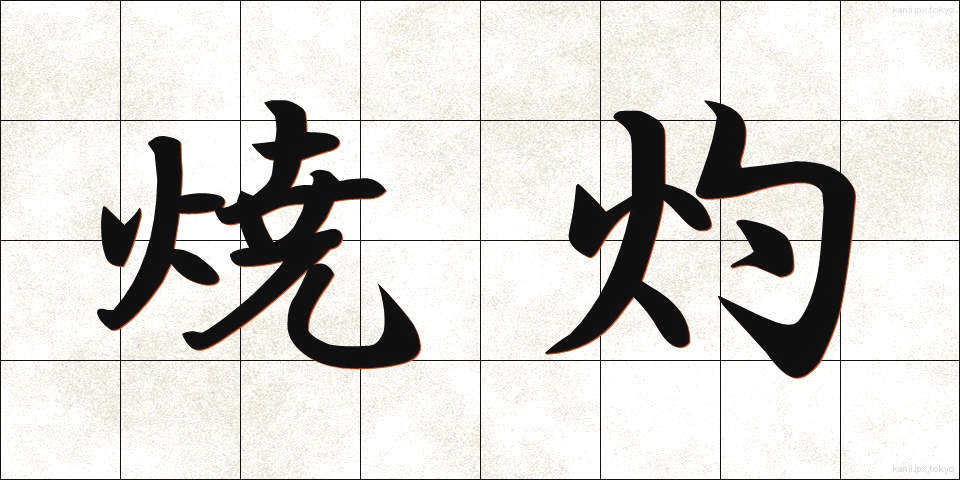 焼灼 (しょうしゃく)