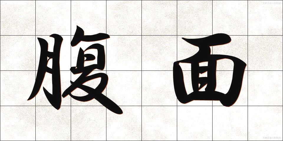 腹面 (ふくめん)