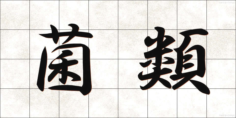 菌類 (きんるい)