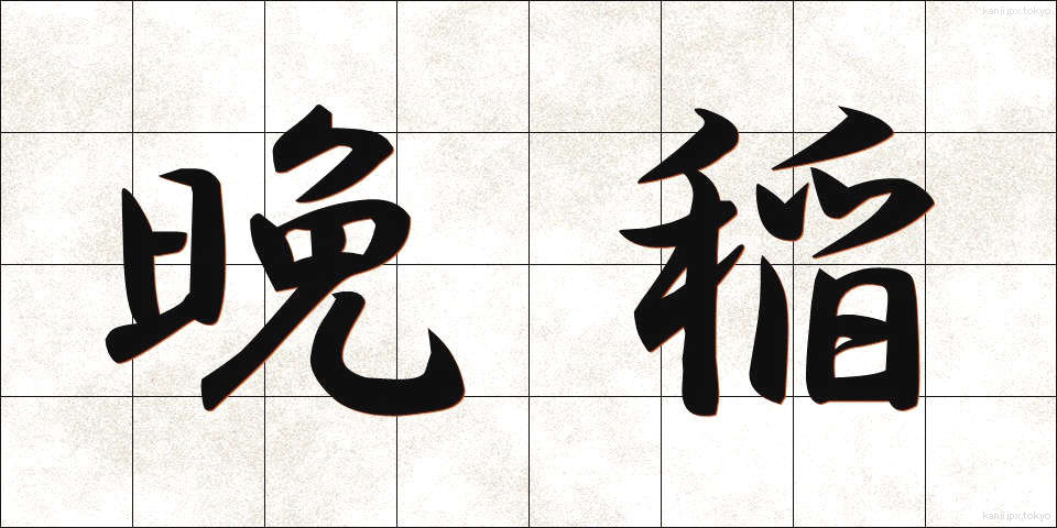 晩稲 (ばんとう)
