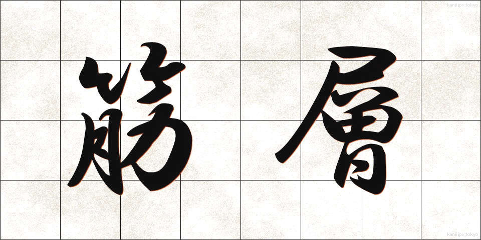 筋層 (きんそう)