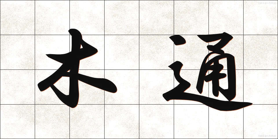 木通 (あけび)