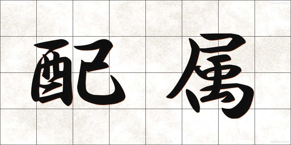 配属 (はいぞく)