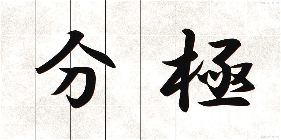 分極 (ぶんきょく)