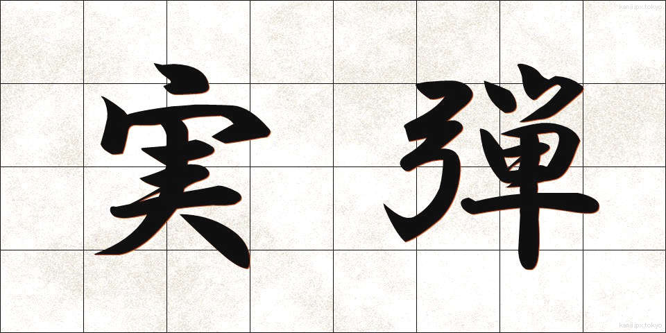 実弾 (じつだん)