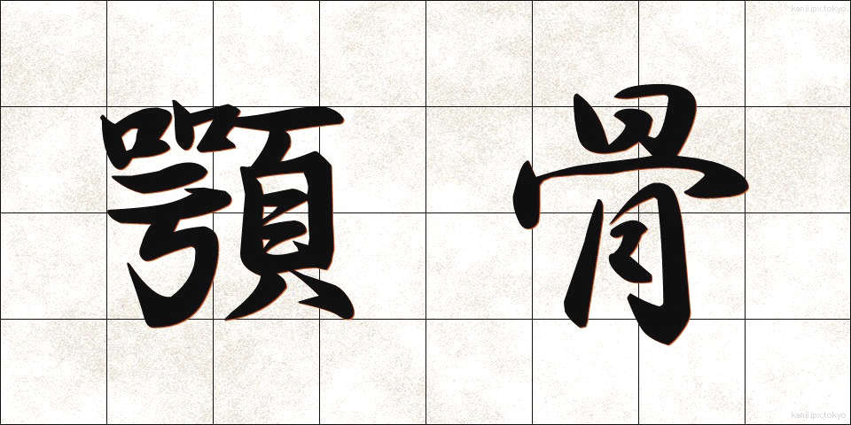 顎骨 (がっこつ)