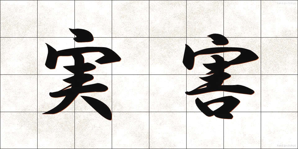 実害 (じつがい)