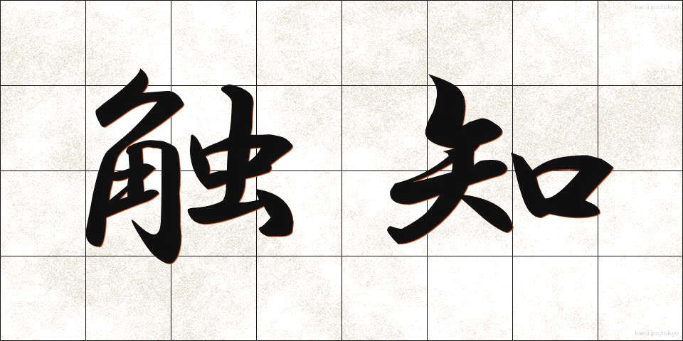 触知 (しょくち)