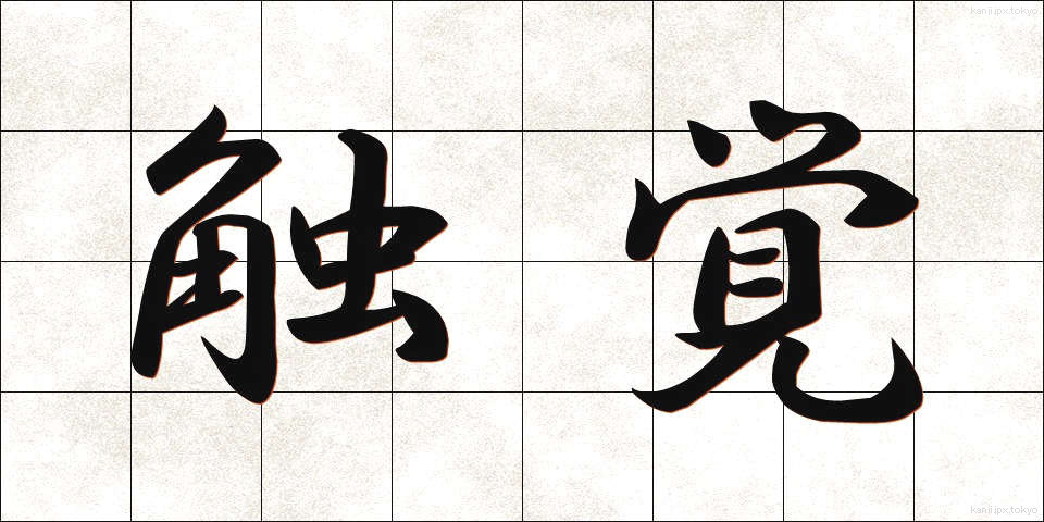 触覚 (しょっかく)