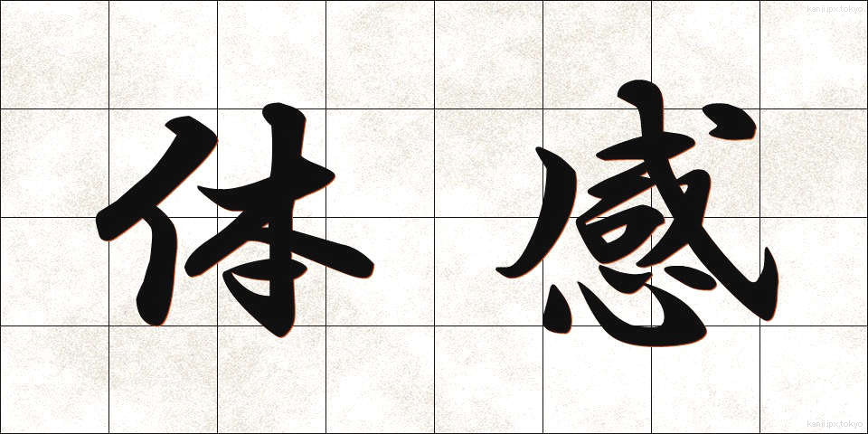 体感 (たいかん)